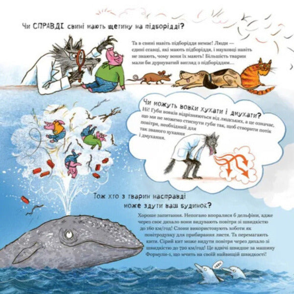 The Great Gray Wolf Explores Fairy Tales / Великий Сірий Вовк досліджує казки Katherine Cawthorne / Кетрін Которн 9789664485408-4