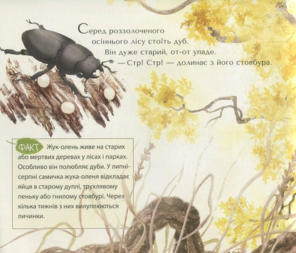 The Great Reincarnation / Велике перевтілення Валентина Вздульская 978-966-97912-0-7-3