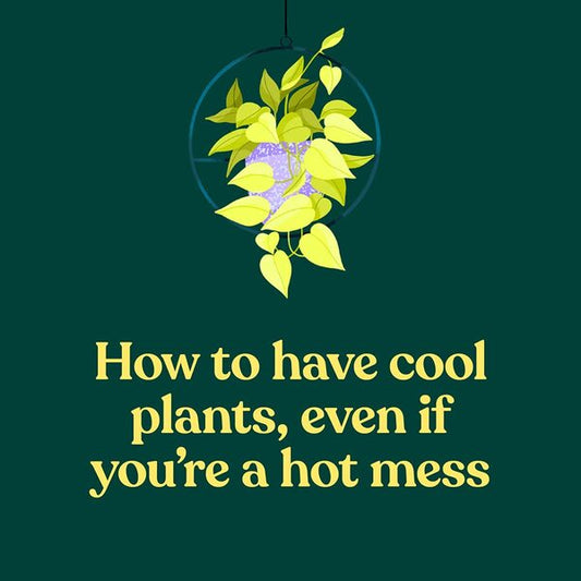 The Green Dumb Guide to Houseplants. 45 Unfussy Plants That Are Easy to Grow and Hard to Kill / The Green Dumb Guide to Houseplants. 45 Unfussy Plants That Are Easy to Grow and Hard to Kill Холли Тайзен-Джонс 9781797216645-2