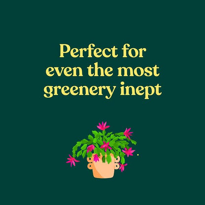 The Green Dumb Guide to Houseplants. 45 Unfussy Plants That Are Easy to Grow and Hard to Kill / The Green Dumb Guide to Houseplants. 45 Unfussy Plants That Are Easy to Grow and Hard to Kill Холли Тайзен-Джонс 9781797216645-3