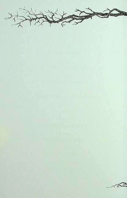 The Icy Dragon / Крижаний дракон George R. R. Martin / Джордж Р. Р. Мартін 9789669489463-5