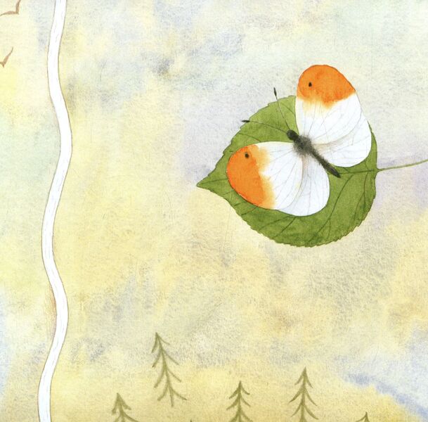 The Journey Of A Leaf - Подорож листочка Natalia Chub - Наталя Чуб 9786170929020-5