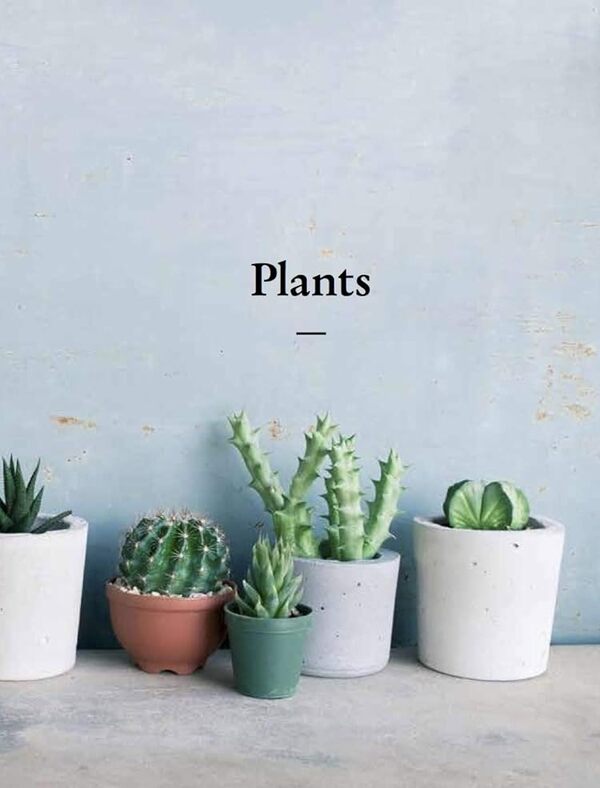 The Kew Gardener's Guide To Growing House Plants Kay Maguire / Кей Магуайр 9780711240001-6