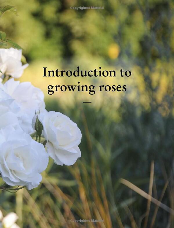 The Kew Gardener's Guide to Growing Roses / The Kew Gardener's Guide to Growing Roses Тони Холл 9780711261907-5