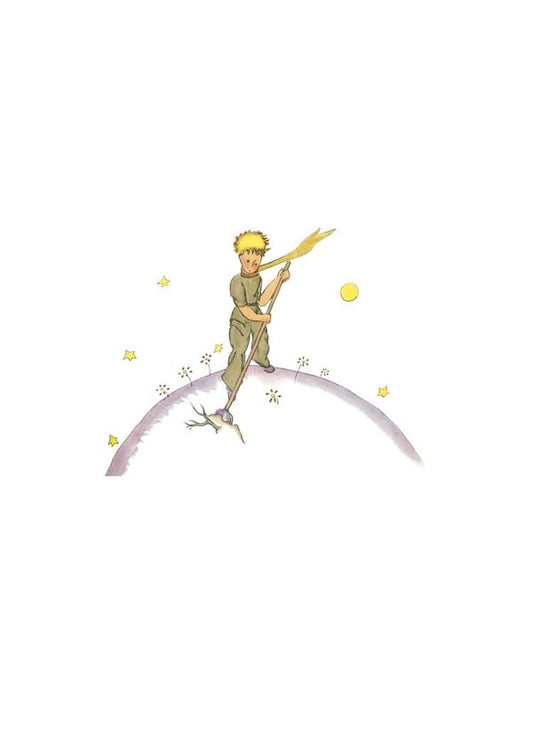 The Little Prince. Collectors Edition Antoine de Saint-Exupery - Антуан де Сент-Экзюпери 9780008589615-2