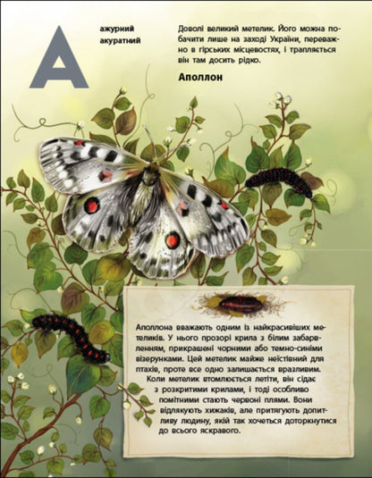 The Living World Of Ukraine - Живий свт Украни - Author not specified 9786170999801-3