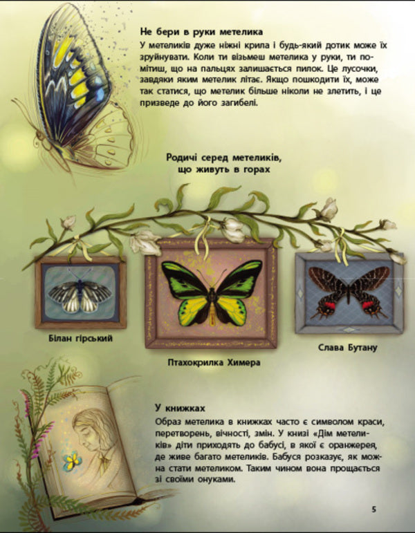 The Living World Of Ukraine - Живий свт Украни - Author not specified 9786170999801-4