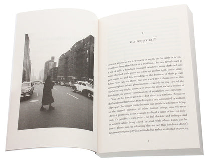The Lonely City. Adventures in the Art of Being Alone / The Lonely City. Adventures in the Art of Being Alone Оливия Лэнг 978-1-78211-125-2-4