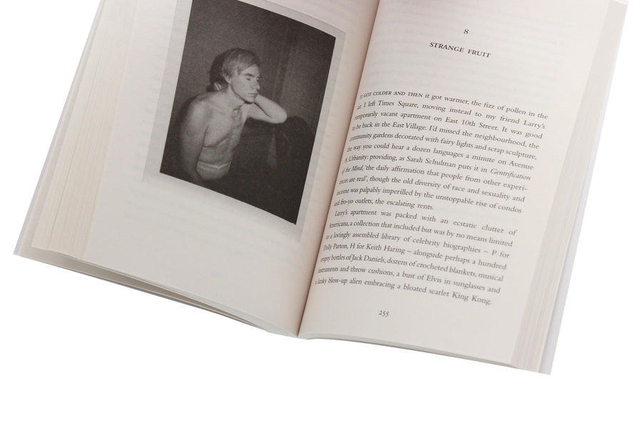 The Lonely City. Adventures in the Art of Being Alone / The Lonely City. Adventures in the Art of Being Alone Оливия Лэнг 978-1-78211-125-2-6