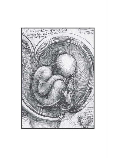 The Mysterious Story Of Benjamin Button / Загадкова історія Бенджаміна Баттона Francis Scott Fitsgerald / Френсіс Скотт Фіцджеральд 9786178493752-6