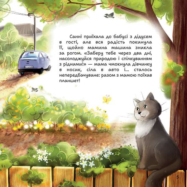 The Mystery Of The Grandparents / Таємниці дідусевого саду Dana endless / Дана нескінченна 9786178549015-4