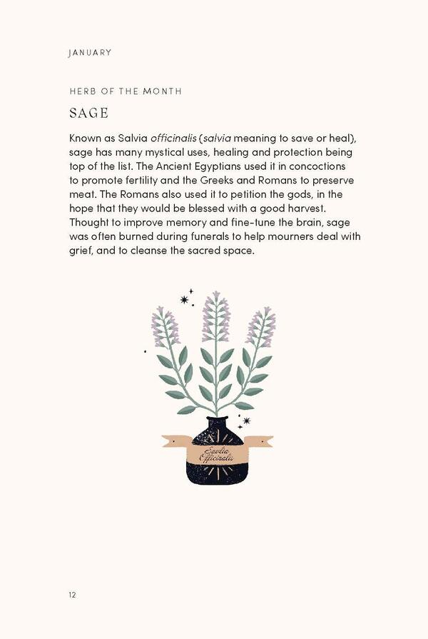 The Mystical Year. Folklore, Magic And Nature Alison Davis / Элисон Дэвис 9781787136083-4