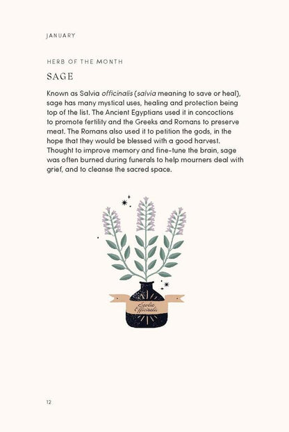 The Mystical Year. Folklore, Magic And Nature Alison Davis / Элисон Дэвис 9781787136083-4