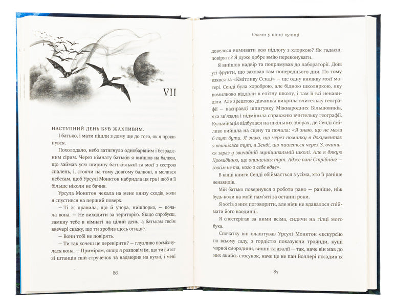 The Ocean At The End Of The Street / Океан у кінці вулиці Nile Gaiman / Ніл Гейман 9789669489029-5