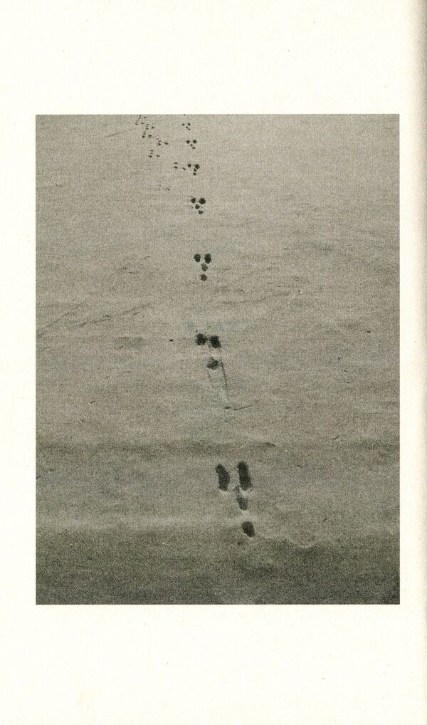 The Old Ways. A Journey On Foot / The Old Ways. A Journey On Foot Роберт Макфарлейн 9780141030586-5