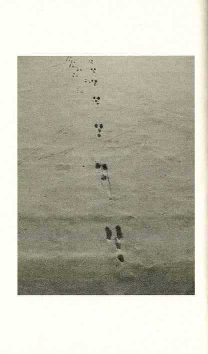 The Old Ways. A Journey On Foot / The Old Ways. A Journey On Foot Роберт Макфарлейн 9780141030586-5