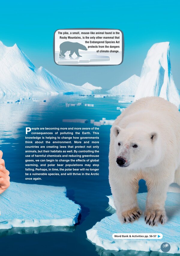 The Polar Bear Virginia Evans, Jenny Dooley - Вирджиния Эванс, Дженни Дули 9781471563386-6