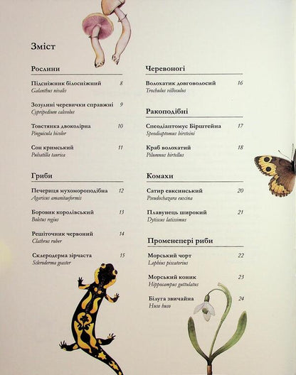 The Red Booklet / Червона книжечка / Author not specified 9786178535025-3