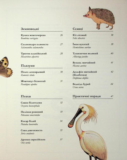 The Red Booklet / Червона книжечка / Author not specified 9786178535025-4