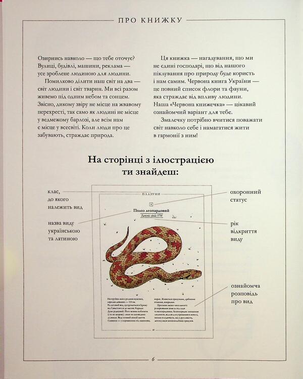 The Red Booklet / Червона книжечка / Author not specified 9786178535025-5