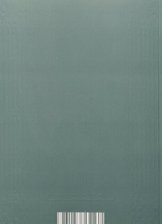 The Richinsky sisters. Volume 2 / Сестри Річинські. Том 2 Ирина Вильде 978-617-8257-84-2-2