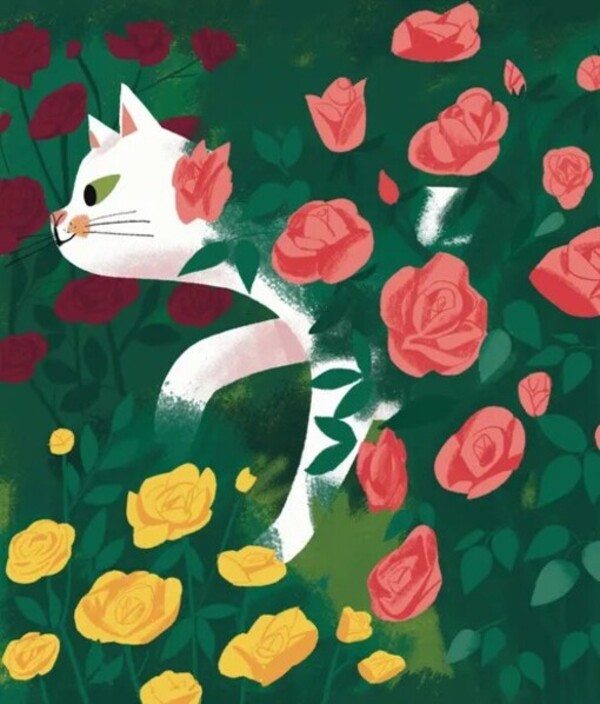 The Secret Life Of Caramelka / Таємне життя Карамельки Oksana Drachkovskaya / Оксана Драчковська 9789664486184-6