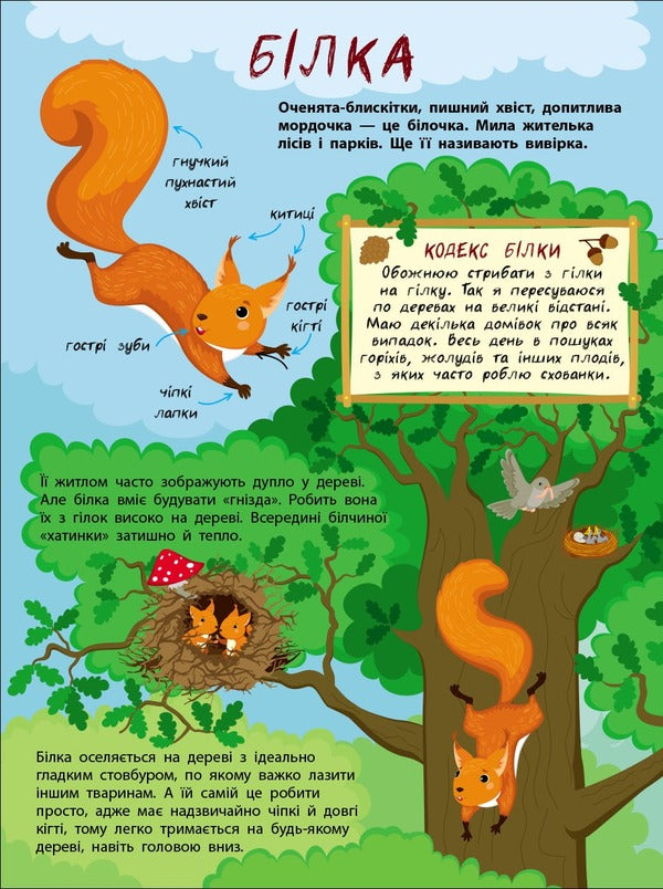 The Secret Life Of Little Animals / Таємне життя маленьких тварин Yana Khomenko / Яна Хоменко 9786170999818-3
