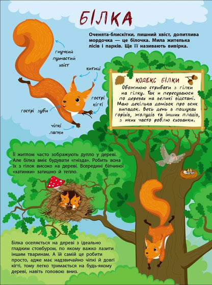 The Secret Life Of Little Animals / Таємне життя маленьких тварин Yana Khomenko / Яна Хоменко 9786170999818-3