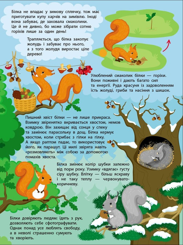 The Secret Life Of Little Animals / Таємне життя маленьких тварин Yana Khomenko / Яна Хоменко 9786170999818-4