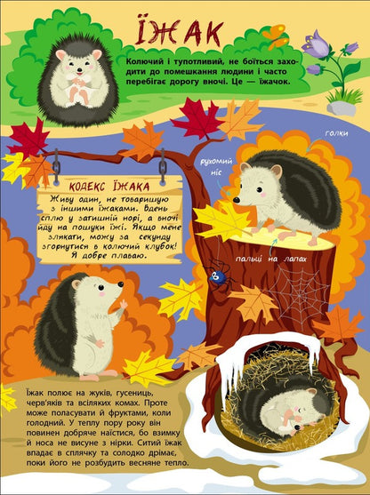 The Secret Life Of Little Animals / Таємне життя маленьких тварин Yana Khomenko / Яна Хоменко 9786170999818-5