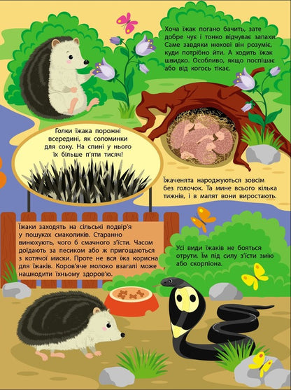The Secret Life Of Little Animals / Таємне життя маленьких тварин Yana Khomenko / Яна Хоменко 9786170999818-6