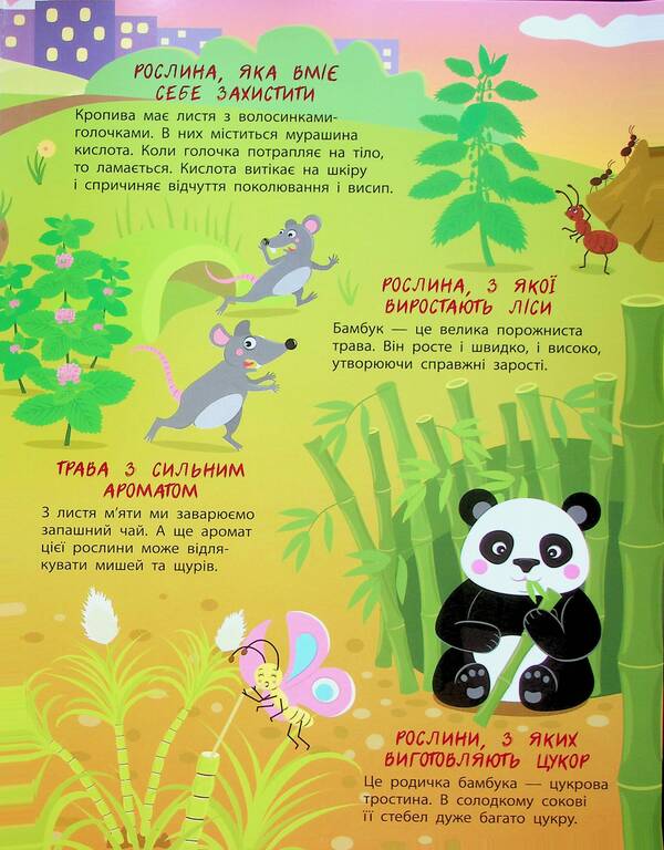 The Secret Life Of Plants / Таємне життя рослин Natalia Koval / Наталія Коваль 9786170987303-6