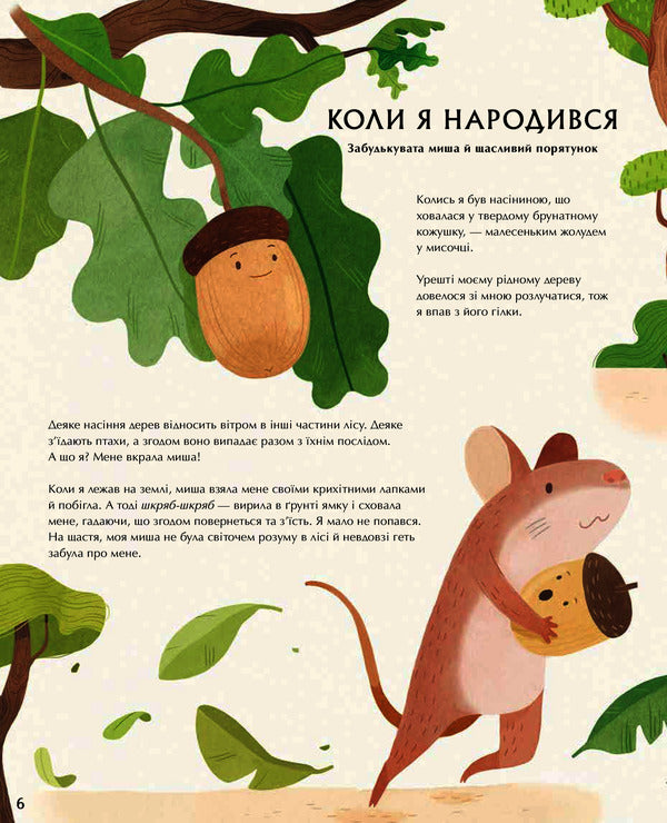 The Secret Life Of Trees / Таємне життя дерев Moira Butterfield / Мойра Баттерфілд 9789669485847-2