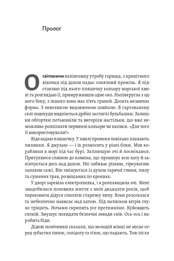 The Shadow Of The Little Bear A Steppe Novel - Тнь Мало Ведмедиц Степовий роман Daria Teplaya - Даря Тепла 9786178621452-5