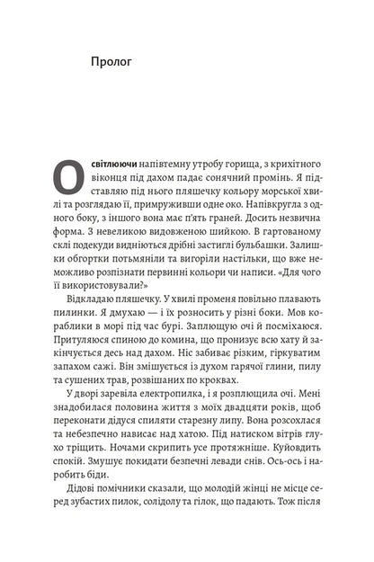 The Shadow Of The Little Bear A Steppe Novel - Тнь Мало Ведмедиц Степовий роман Daria Teplaya - Даря Тепла 9786178621452-5