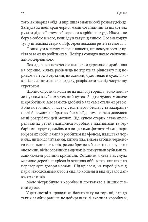 The Shadow Of The Little Bear A Steppe Novel - Тнь Мало Ведмедиц Степовий роман Daria Teplaya - Даря Тепла 9786178621452-6