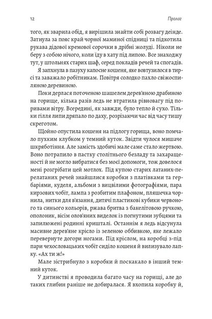 The Shadow Of The Little Bear A Steppe Novel - Тнь Мало Ведмедиц Степовий роман Daria Teplaya - Даря Тепла 9786178621452-6