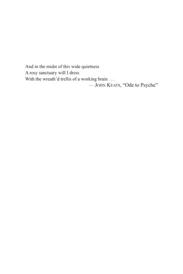 The Shallows. How the Internet Is Changing the Way We Think, Read and Remember / The Shallows. How the Internet Is Changing the Way We Think, Read and Remember Николас Карр 9781838952587-6