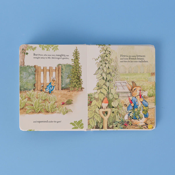 The Tale Of Peter Rabbit Picture Book Beatrix Potter / Беатрис Поттер 9780241606339-3