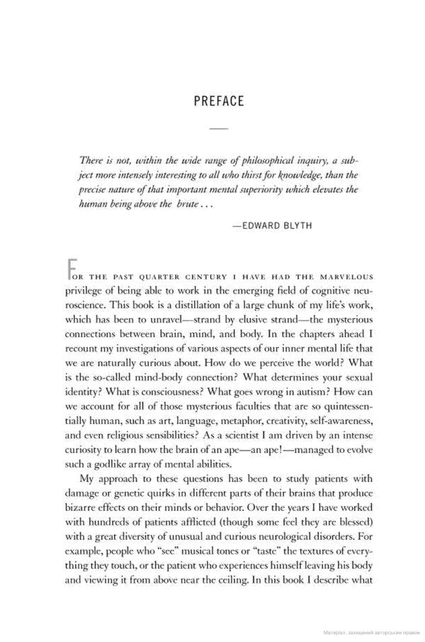 The Tell-Tale Brain. Unlocking the Mystery of Human Nature / The Tell-Tale Brain. Unlocking the Mystery of Human Nature Вилейанур Рамачандран 9780099537595-3