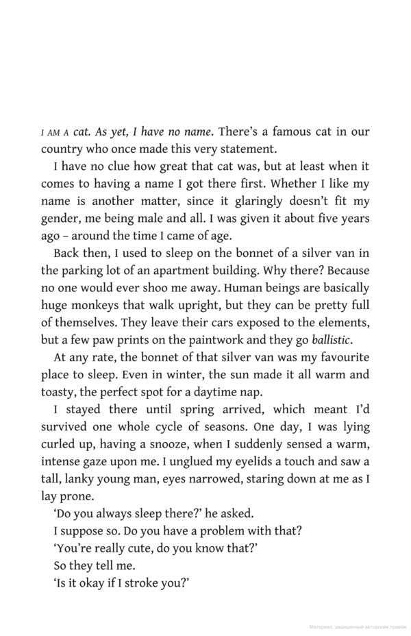 The Traveling Cat Chronicles Hiro Arikawa / Хиро Арикава 9780857524195-4