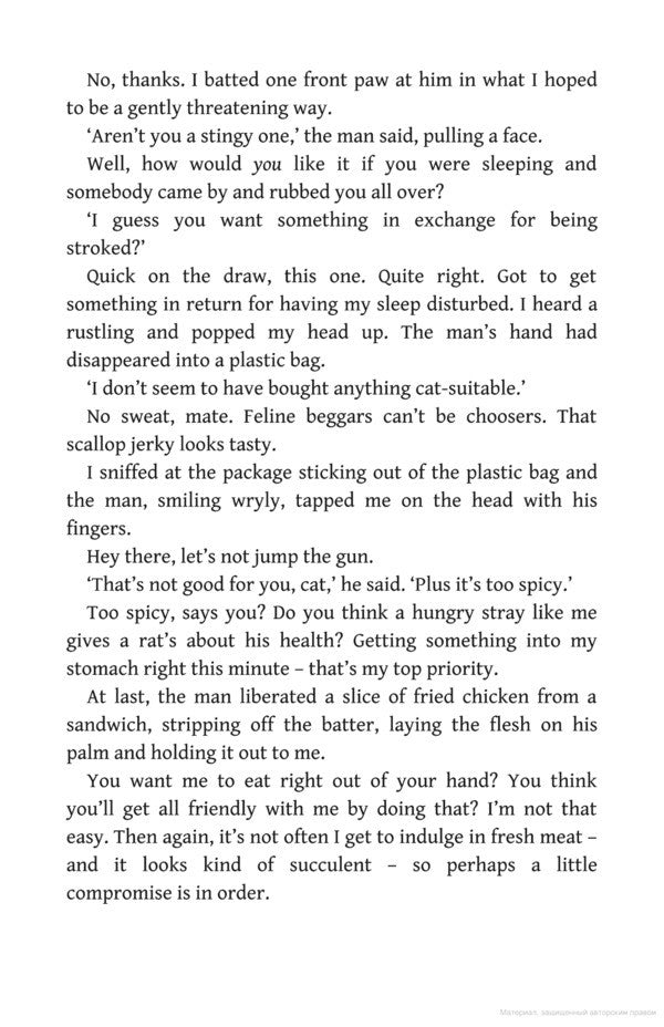 The Traveling Cat Chronicles Hiro Arikawa / Хиро Арикава 9780857524195-5