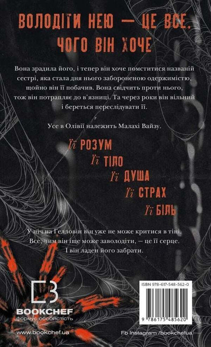The Web Of Silence Book 1 A Little Stranger - Павутина мовчання Книга 1 Маленька незнайомка Li Rivers - Л Рверс 9786175485620-3