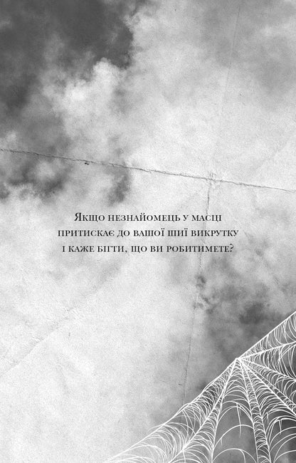 The Web Of Silence Book 1 A Little Stranger - Павутина мовчання Книга 1 Маленька незнайомка Li Rivers - Л Рверс 9786175485620-4