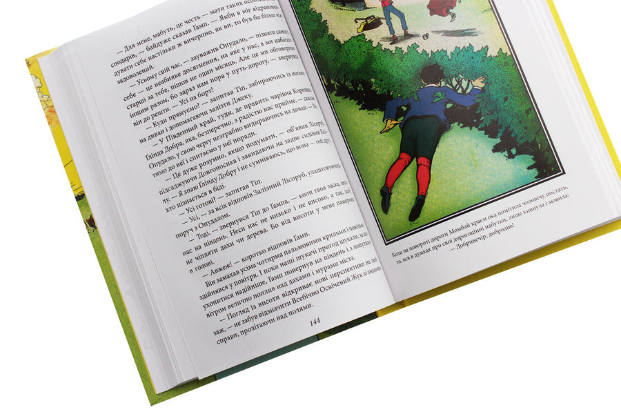 The Wonderful Country Of Oz / Чудесна країна Оз Layman Frek Baum / Мирян Френк Баум 9789660389885-5
