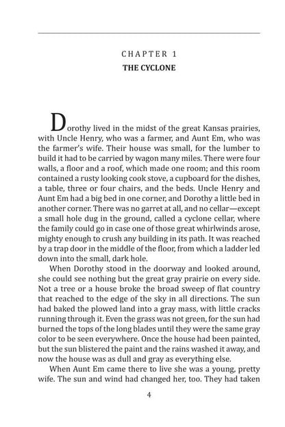 The Wonderful Wizard Of Oz Layman Frank Baum / Лаймен Фрэнк Баум 9786175510223-4