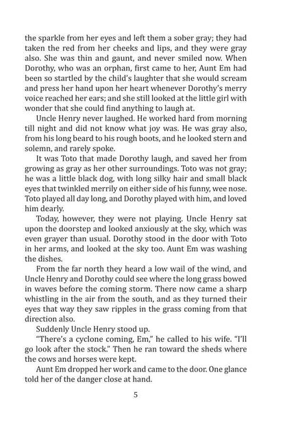 The Wonderful Wizard Of Oz Layman Frank Baum / Лаймен Фрэнк Баум 9786175510223-5