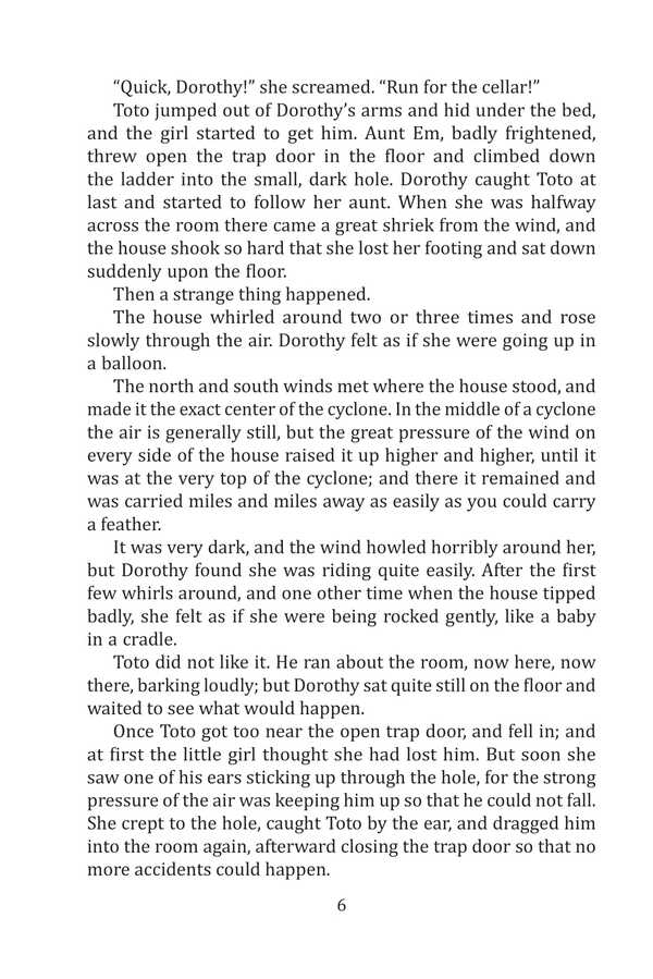 The Wonderful Wizard Of Oz Layman Frank Baum / Лаймен Фрэнк Баум 9786175510223-6