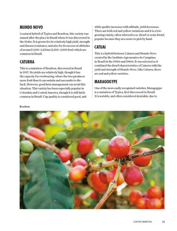 The World Atlas Of Coffee. From Beans To Brewing - Coffees Explored, Explained And Enjoyed James Hoffman - Джеймс Хоффман 9781784724290-5