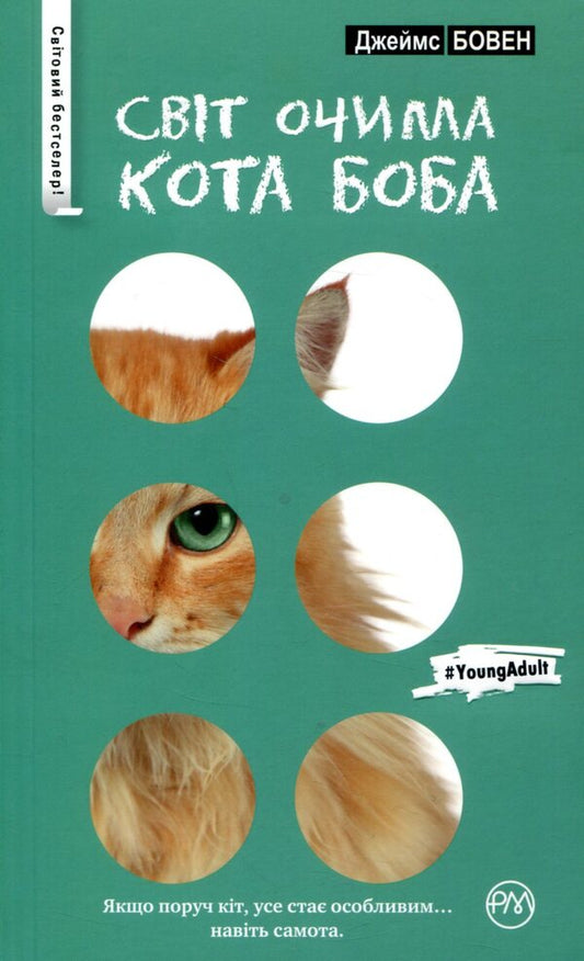 The World Through The Eyes Of Bob The Cat - Свт очима кота Боба James Bowen - Джеймс Боуен 9789669171528-1